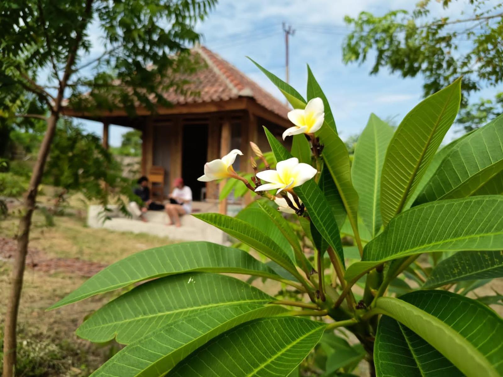 Отель Melody Surf - Ekas Lombok Экстерьер фото